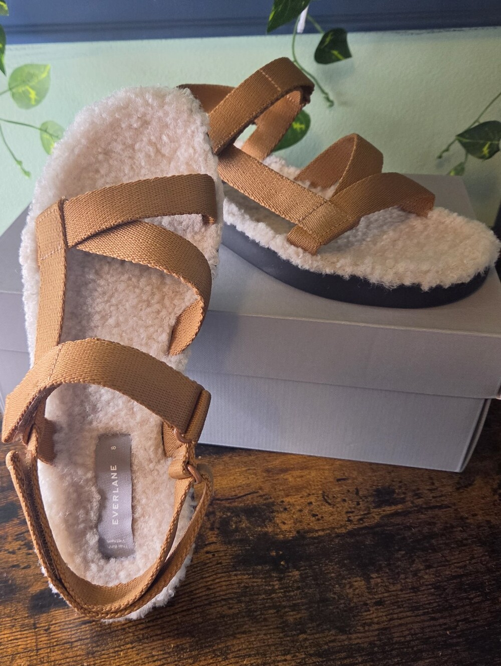 Everlane ReNew Teddy Sport Sandals Womens 8 Brown Gorpcore Cozy Minimalist NIB